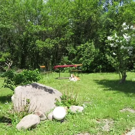 Blota Kral Apartament Lübben