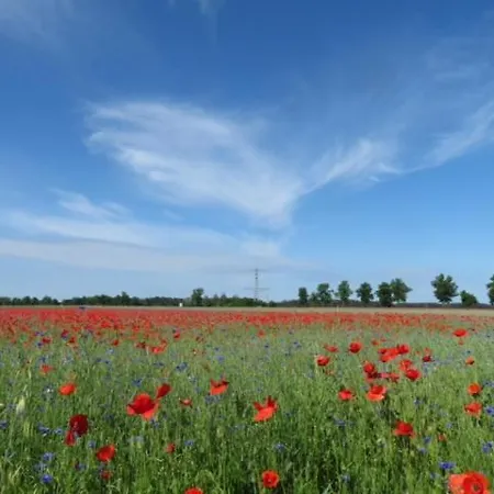 Apartamento Blota Kral *